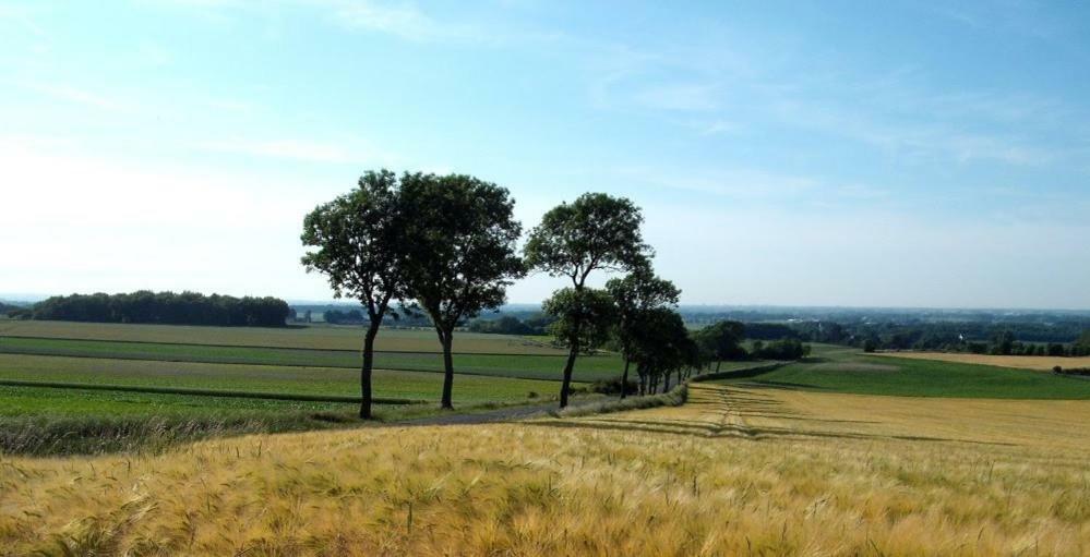 Pommiers Des Trois Pays Campsite 4*